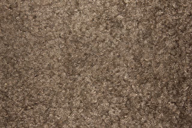 Overhead shot of brown fuzzy carpet
