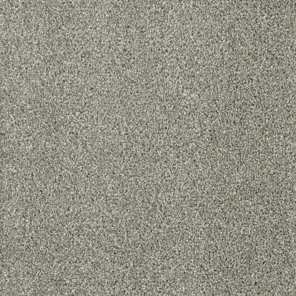 Color sample of dreamweaver carpet