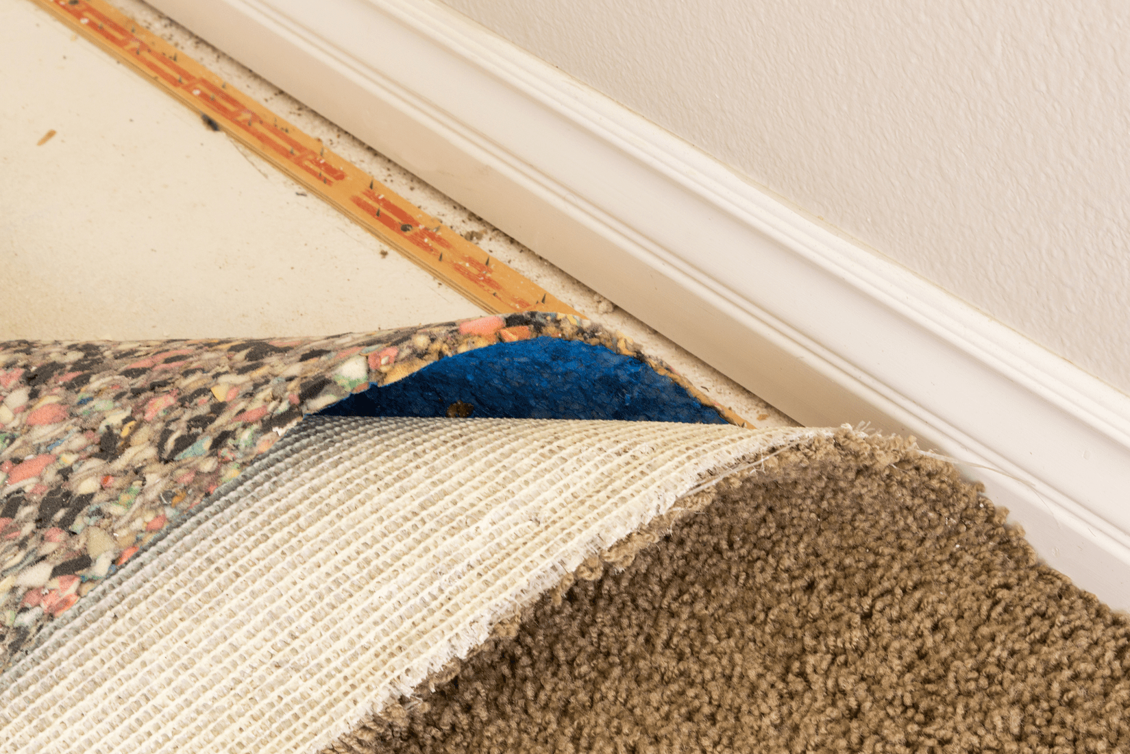 Best Carpet Padding, Pulled Back Carpet and Padding