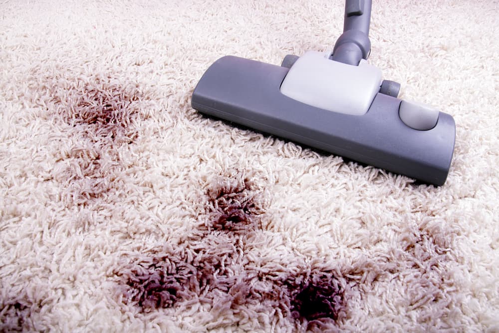 Stained carpet being vacuumed