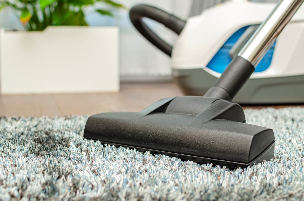 High Pile Carpet with one of the best vacuum for high pile carpet cleaning it