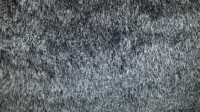 Grey shiny Karastan carpet sample