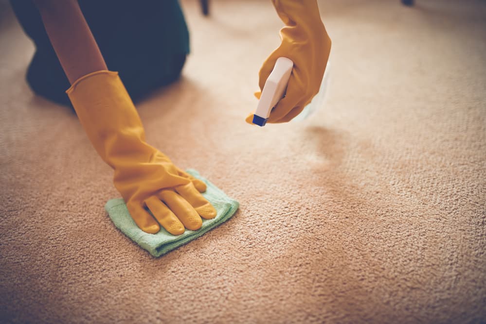 Woman using vinegar cleaning solution to clean a carpet