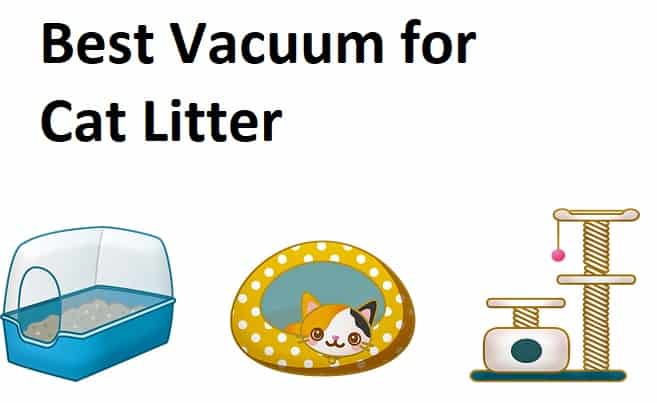 best vacuum for cat litter intro